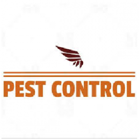 call to pest control 