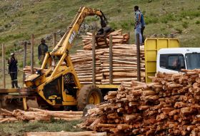 The Case for Digitisation of the Forestry Industry