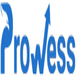 Prowess Marketing