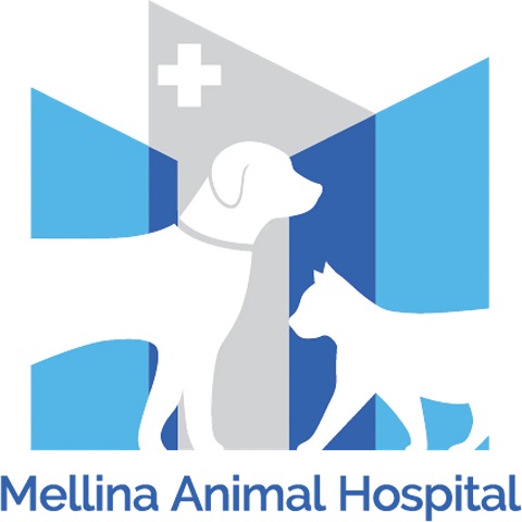 Mellina Animal Hospital