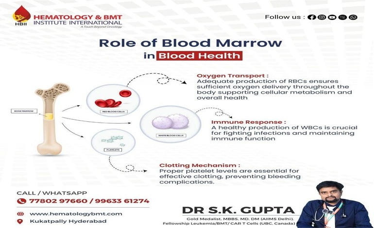 Hemato – Expert Hematology Care by Dr. S K Guptha