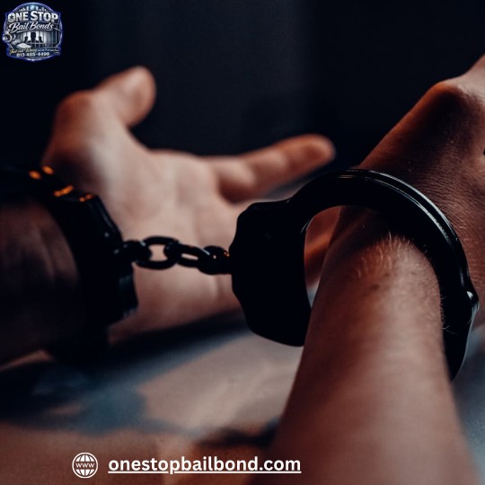 One Stop Bail Bonds – Tampa Bail Bond Services