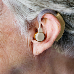 In-the-Ear (ITE)