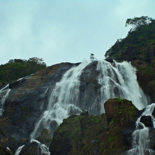 Full-Day Dudhsagar Waterfall Trip from Goa